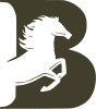 Ben Kairu Corp Logo
